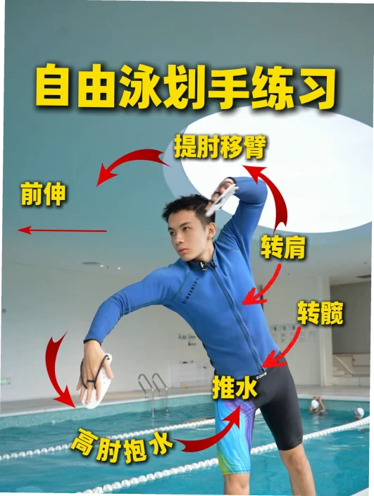 自由泳划水动作 示意图